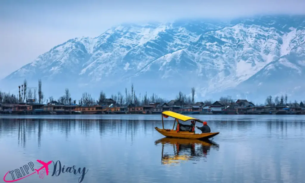 Srinagar 