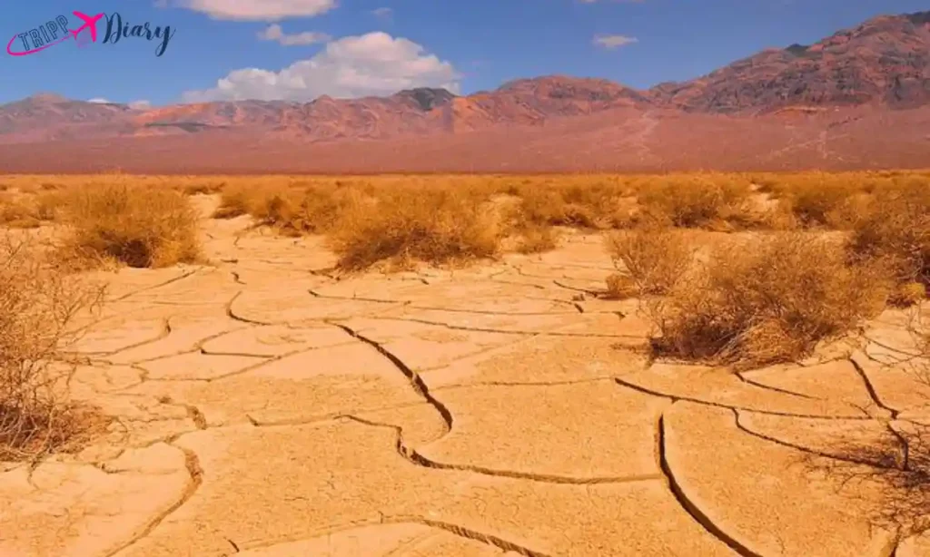 Aziziyah, Libya 