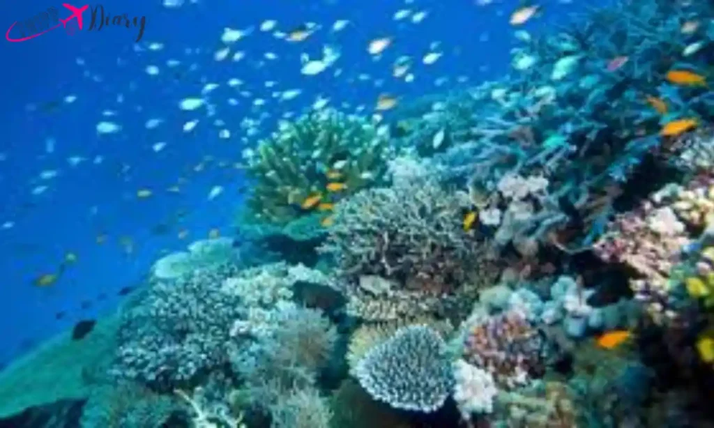 Great Barrier Reef, Australia