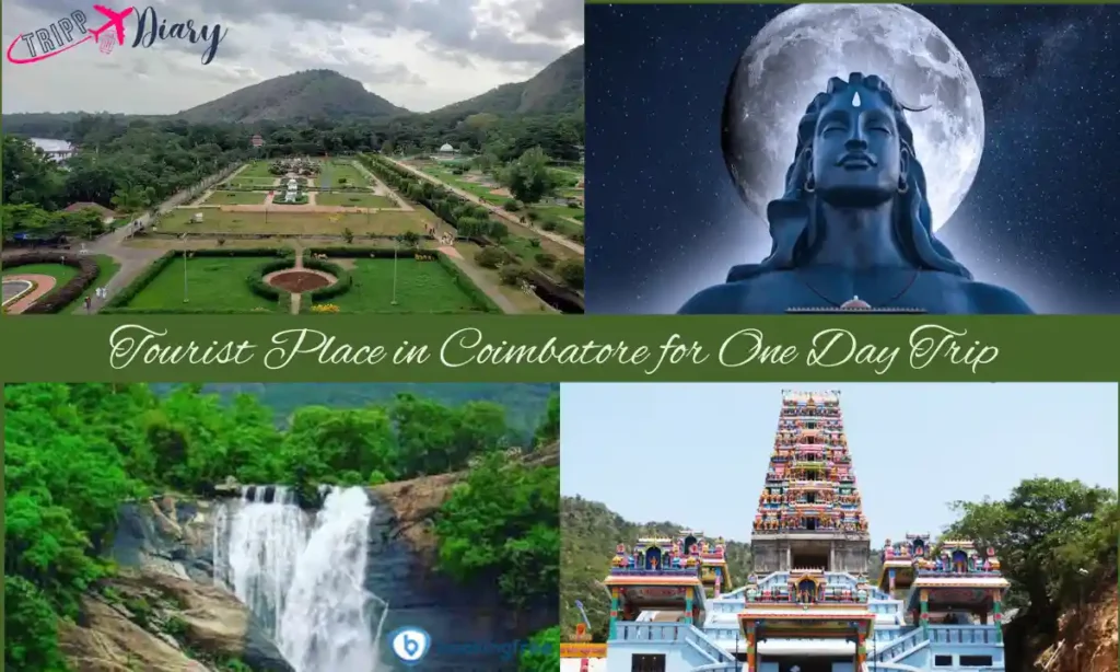 Tourist Place in Coimbatore for One Day Trip