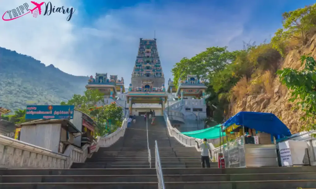 Marudhamalai Temple 