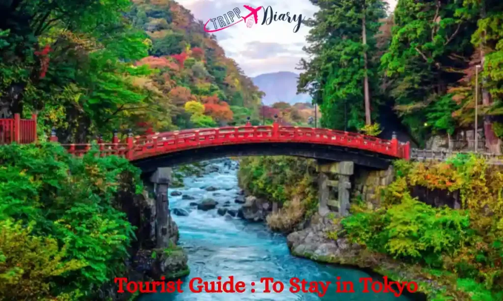 Best Places to Stay in Tokyo for Tourists
