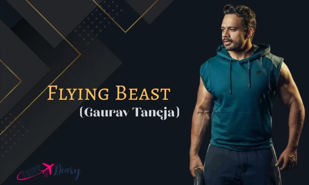 Flying Beast Aka Gaurav Taneja