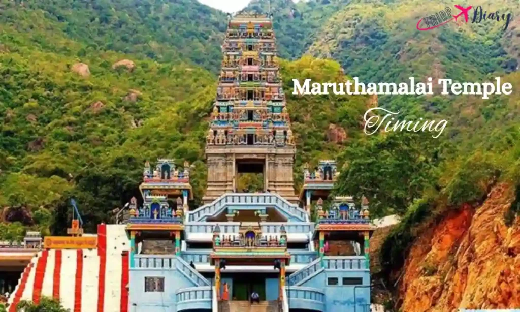 Maruthamalai Temple Timing