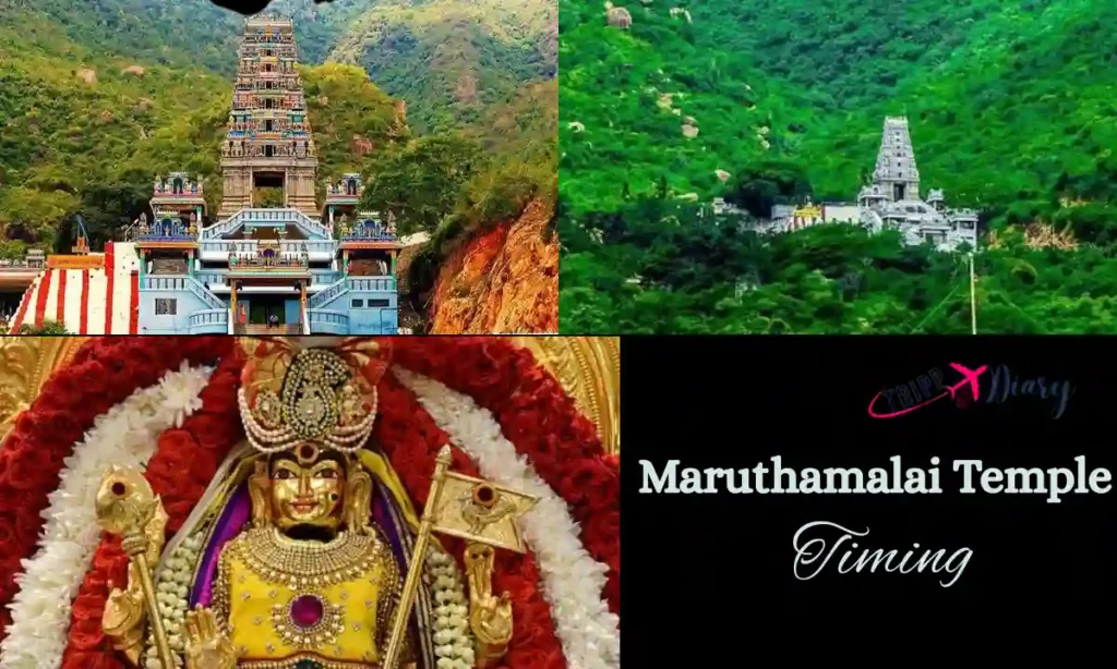 Maruthamalai Temple Timing