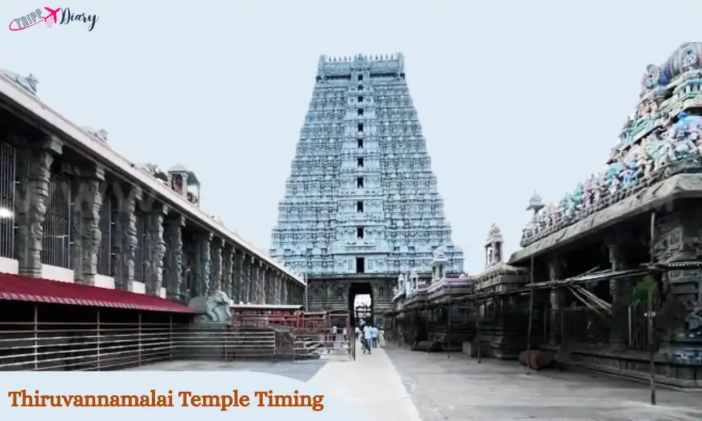 Thiruvannamalai Temple Timing 