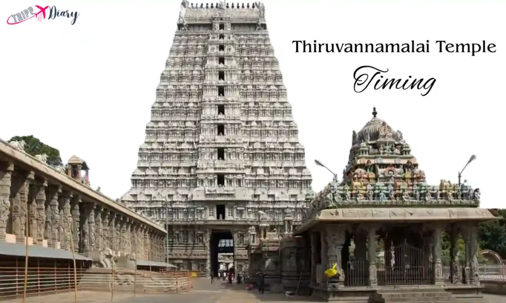 Thiruvannamalai Temple Timing