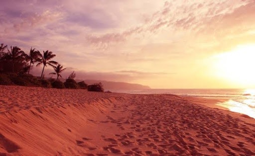 stunning sunset cruise in O’ahu