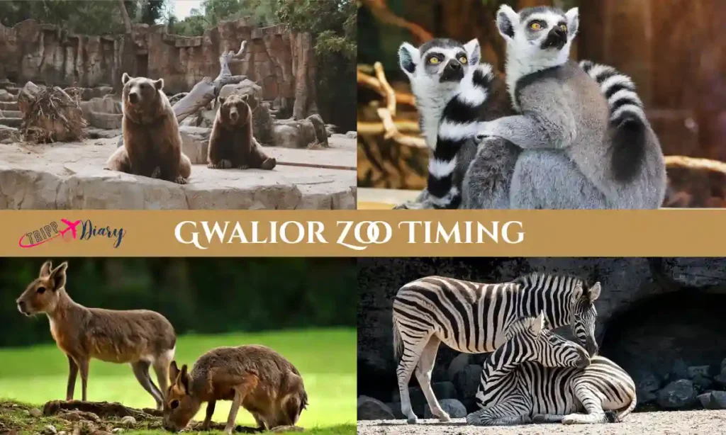 Gwalior Zoo Timing