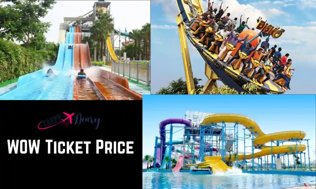 WOW Ticket Price