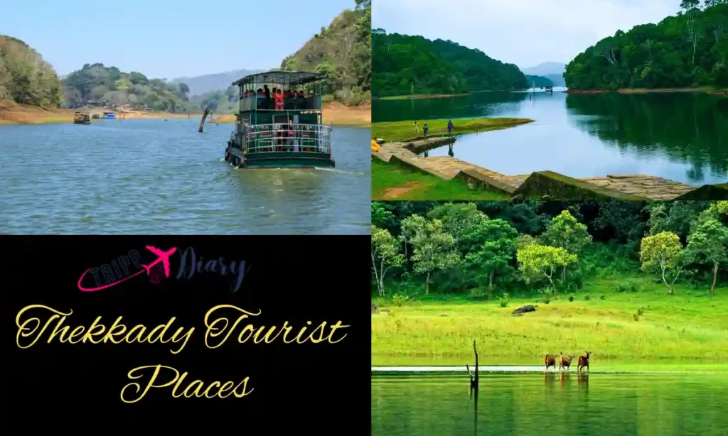 Thekkady Tourist Places