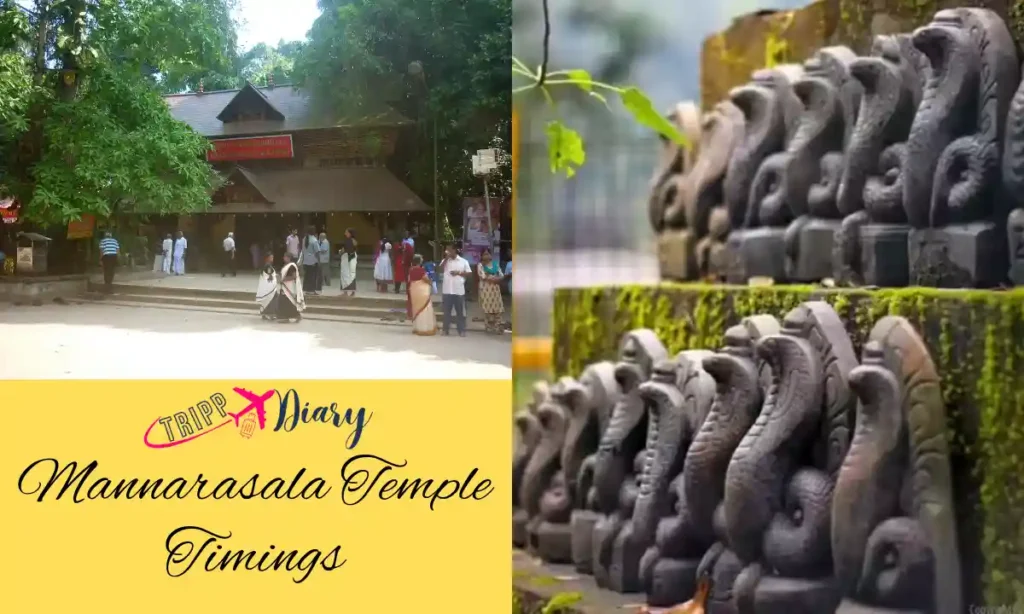 Mannarasala Temple Timings