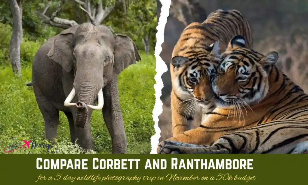 Compare Corbett and Ranthambore for a 5 day wildlife photography trip in November on a 50k budget