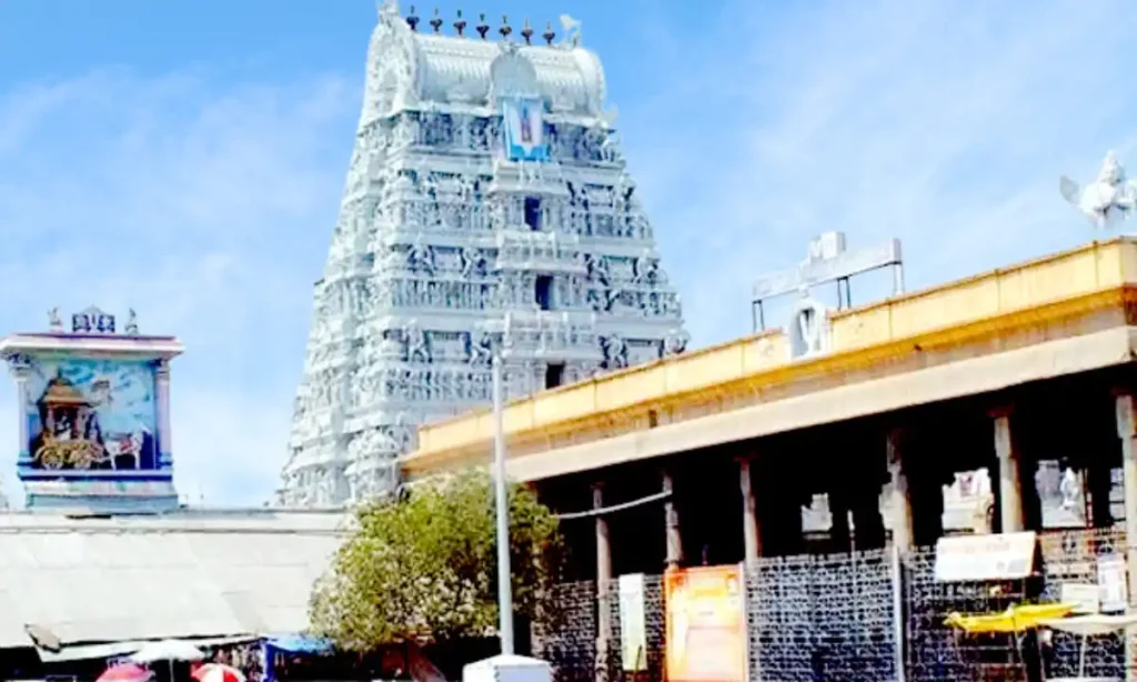 Parthasarathy Temple