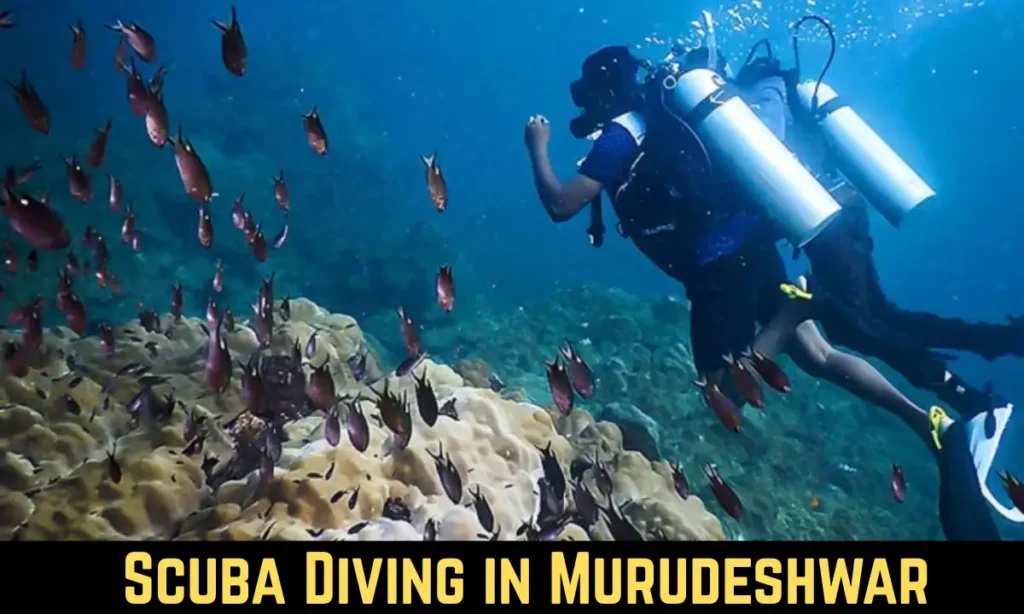 Scuba Diving in Murudeshwar
