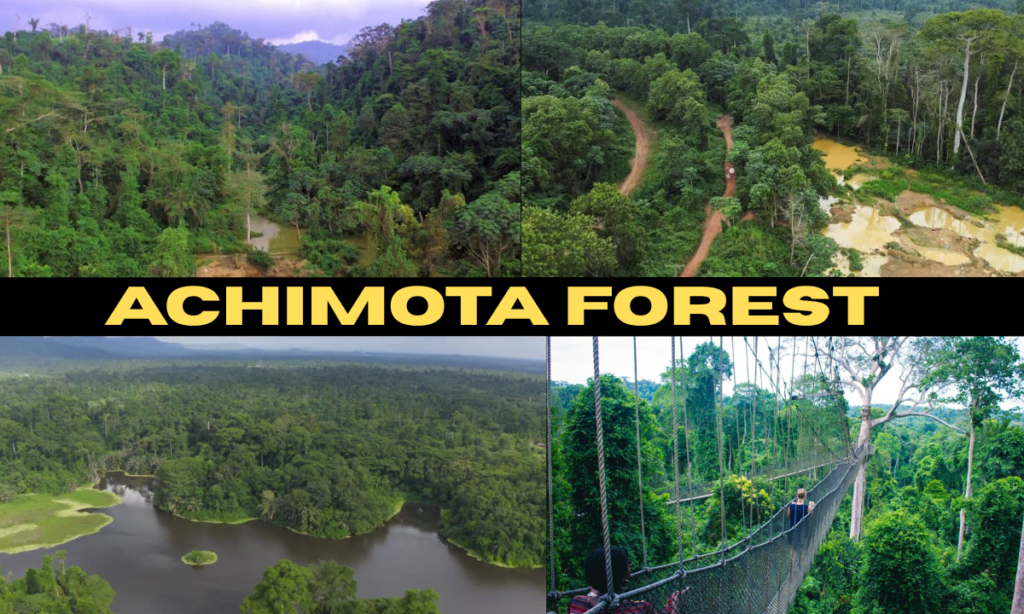 Achimota Forest